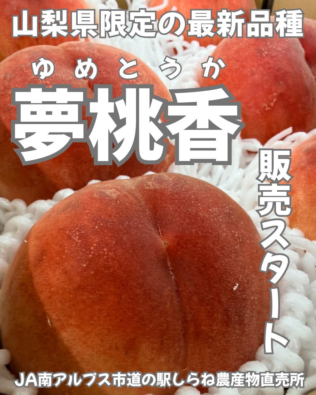 Post 4 by 道の駅しらね農産物直売所🍑JA南アルプス市運営🍇 on Instagram (image)