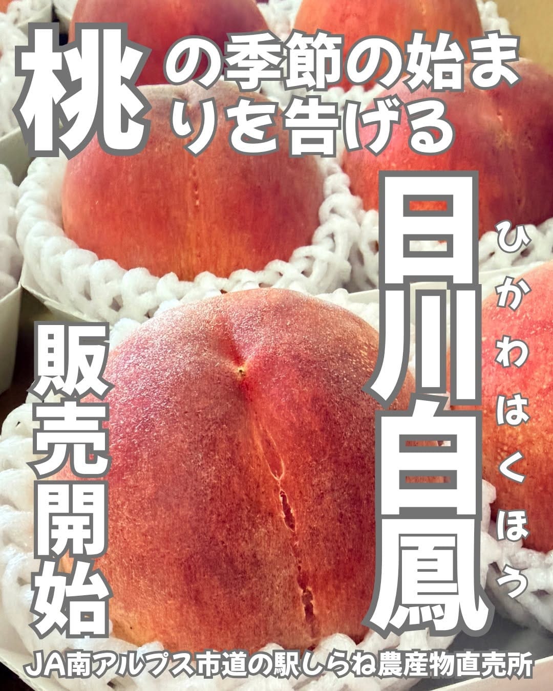 Post 7 by 道の駅しらね農産物直売所🍑JA南アルプス市運営🍇 on Instagram (image)
