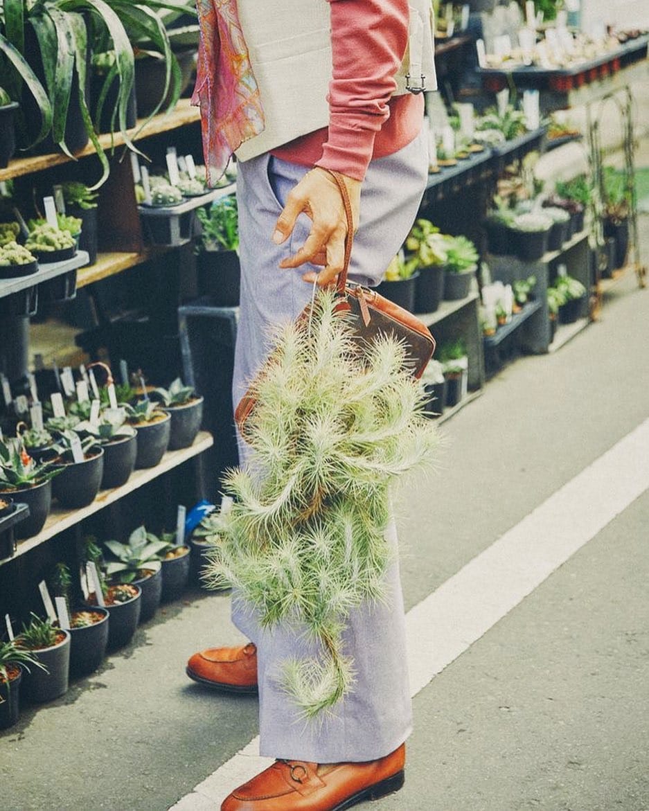 Post 7 by 滝藤賢一🌿FAN on Instagram (image)