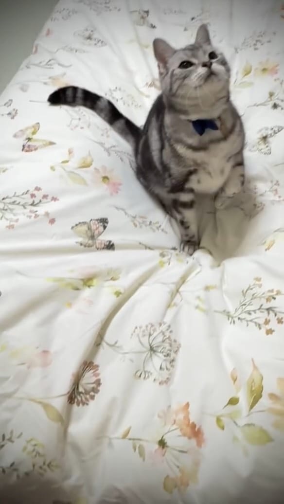 Post 8 by momo.ao.mt on Instagram (video)