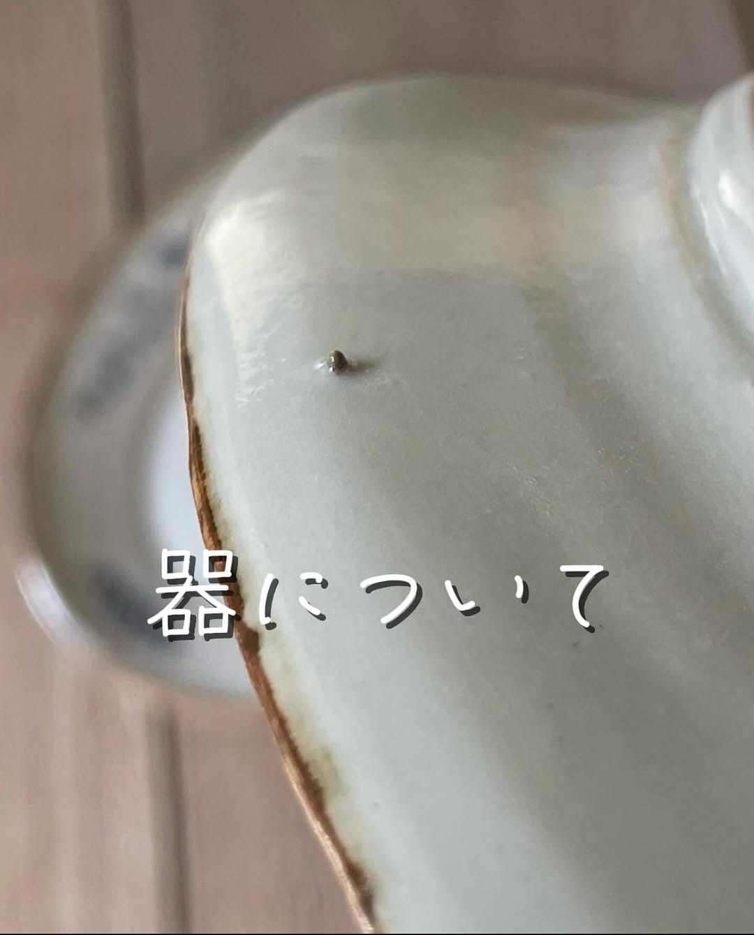 Post 10 by 光萌窯 代表 中西申幸 on Instagram (carousel)