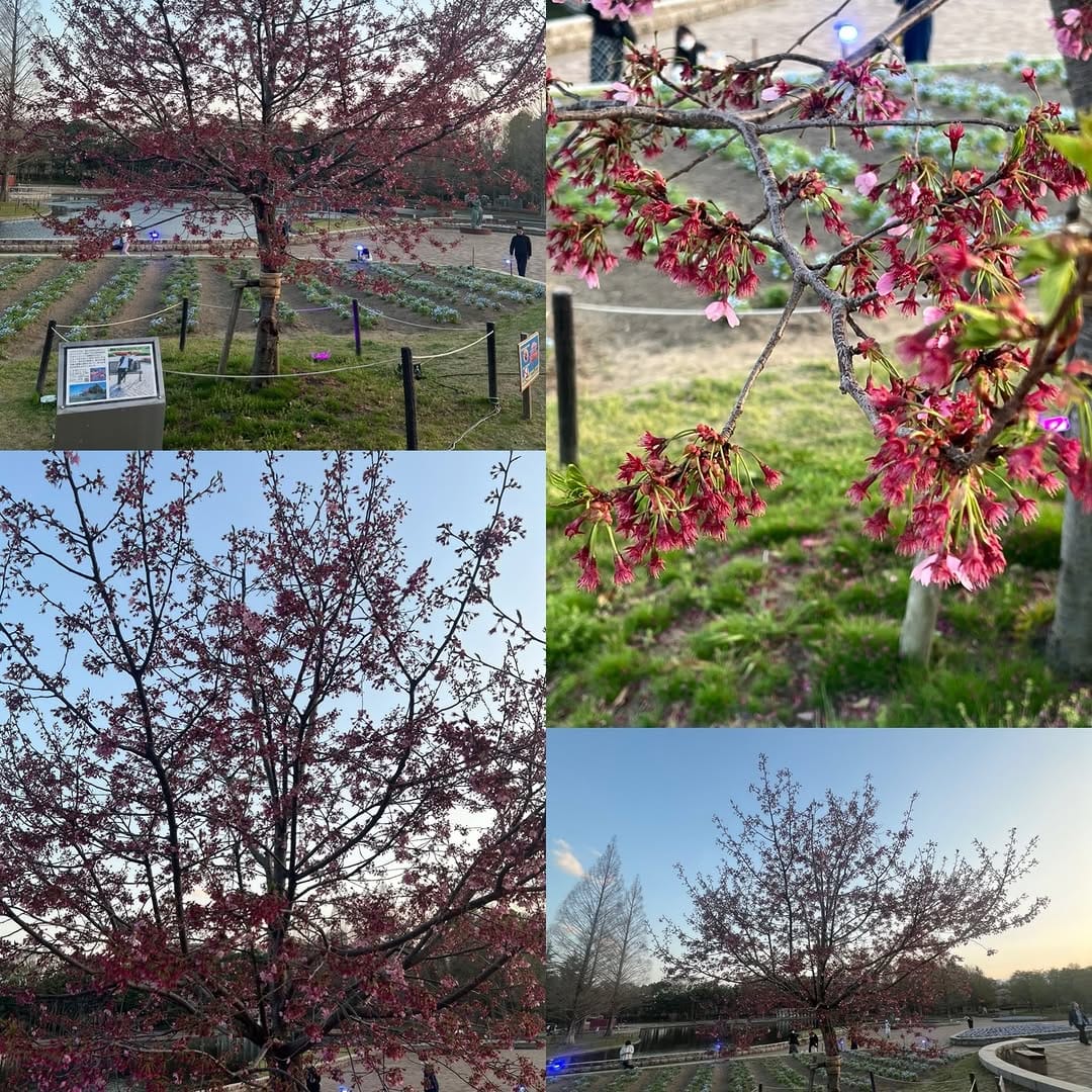 Post 2 by ゆうゆ🌸 on Instagram (carousel)