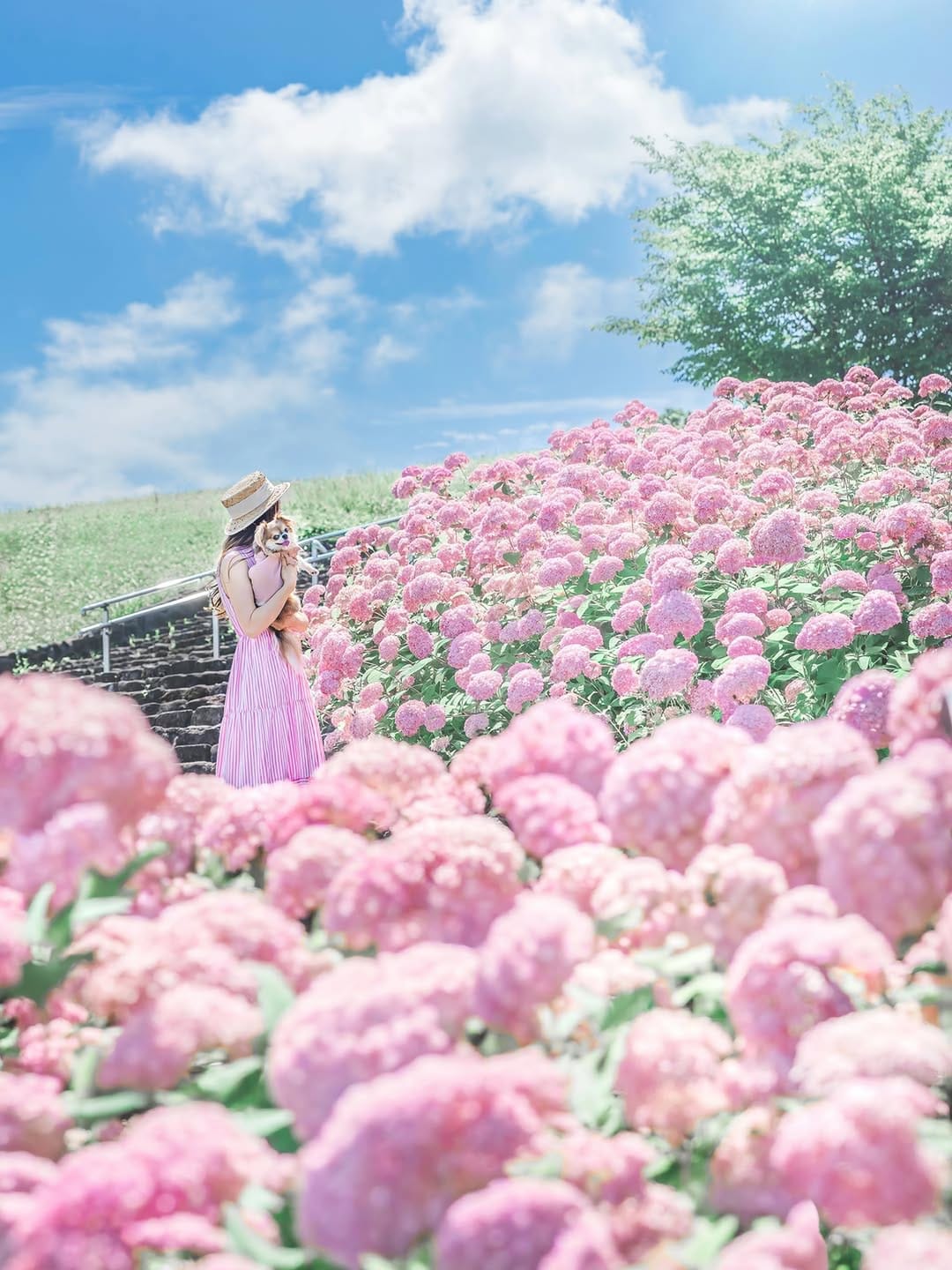 Post 3 by The Beautiful four Seasons of Japan on Instagram (image)