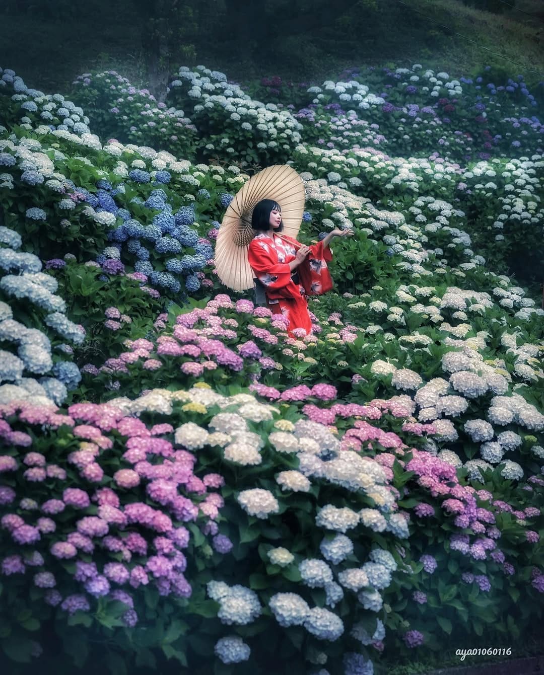 Post 5 by The Beautiful four Seasons of Japan on Instagram (image)