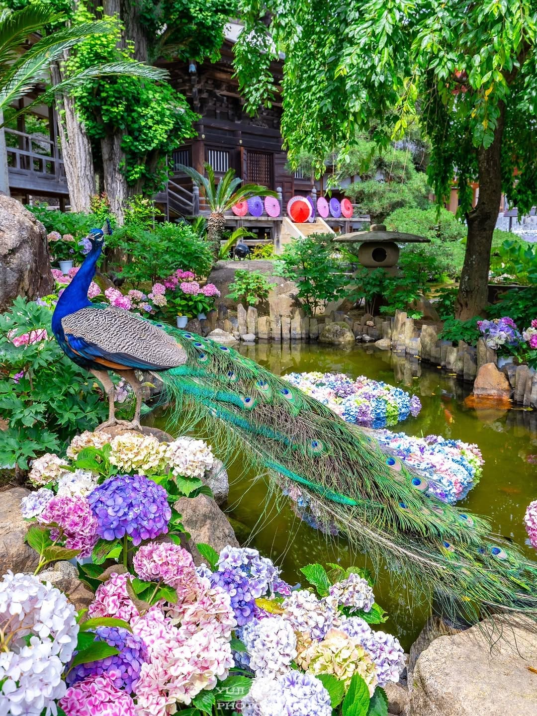Post 7 by The Beautiful four Seasons of Japan on Instagram (image)