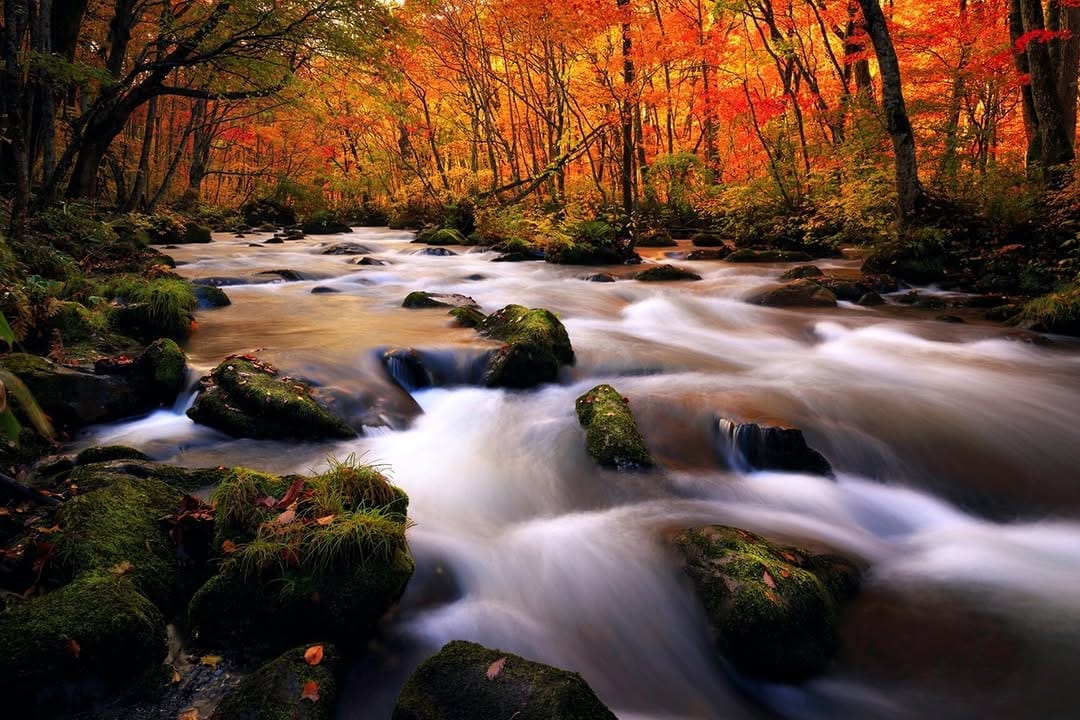 Post 2 by 日本の絶景風景写真 PASHADELIC on Instagram (image)