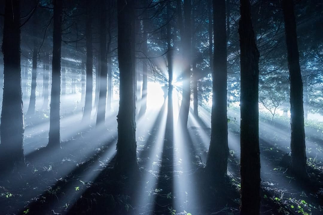 Post 6 by 日本の絶景風景写真 PASHADELIC on Instagram (image)