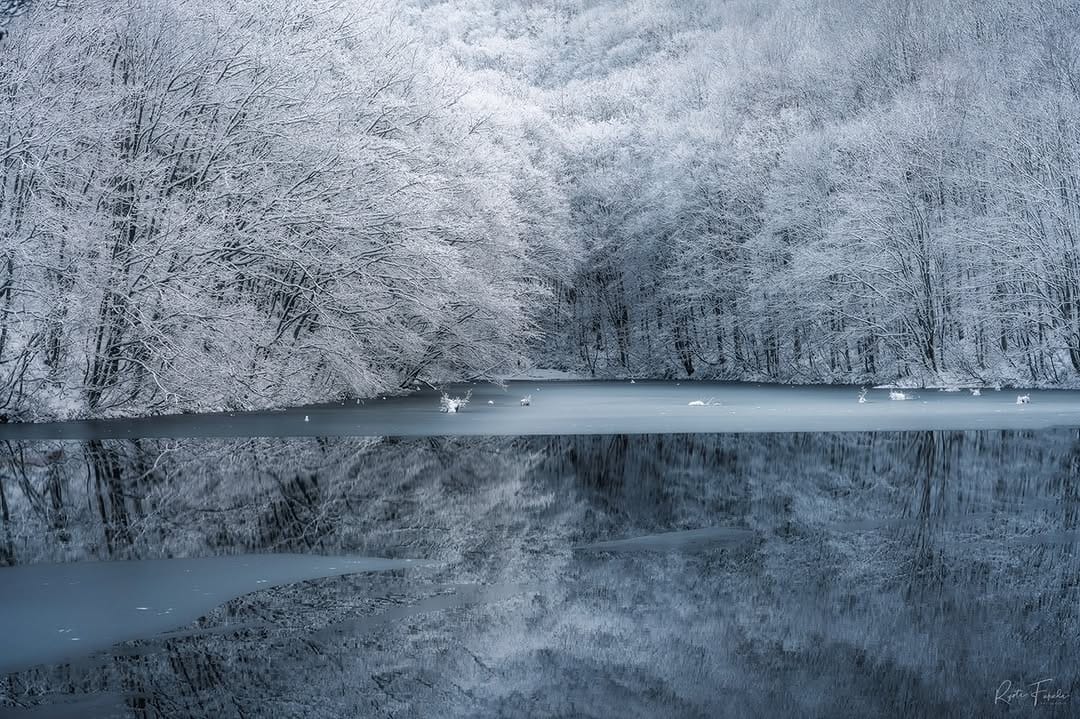 Post 8 by 日本の絶景風景写真 PASHADELIC on Instagram (image)