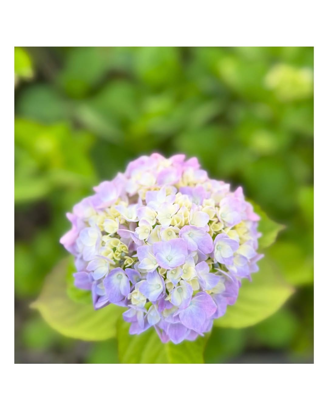 Post 4 by 外岡えりか Erica Tonooka on Instagram (image)