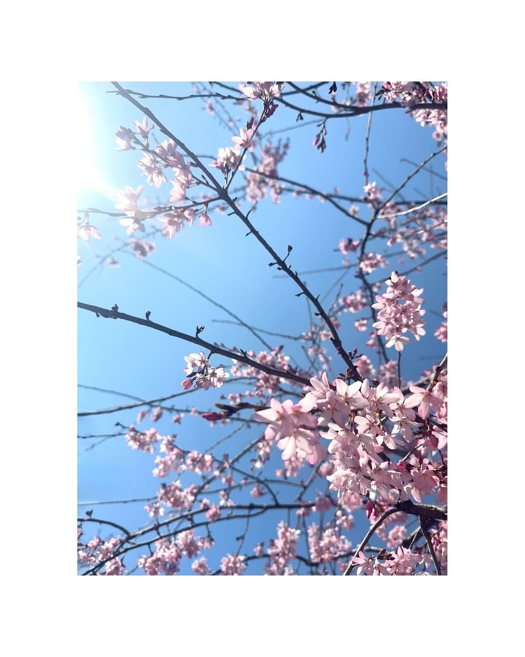 Post 10 by 外岡えりか Erica Tonooka on Instagram (carousel)