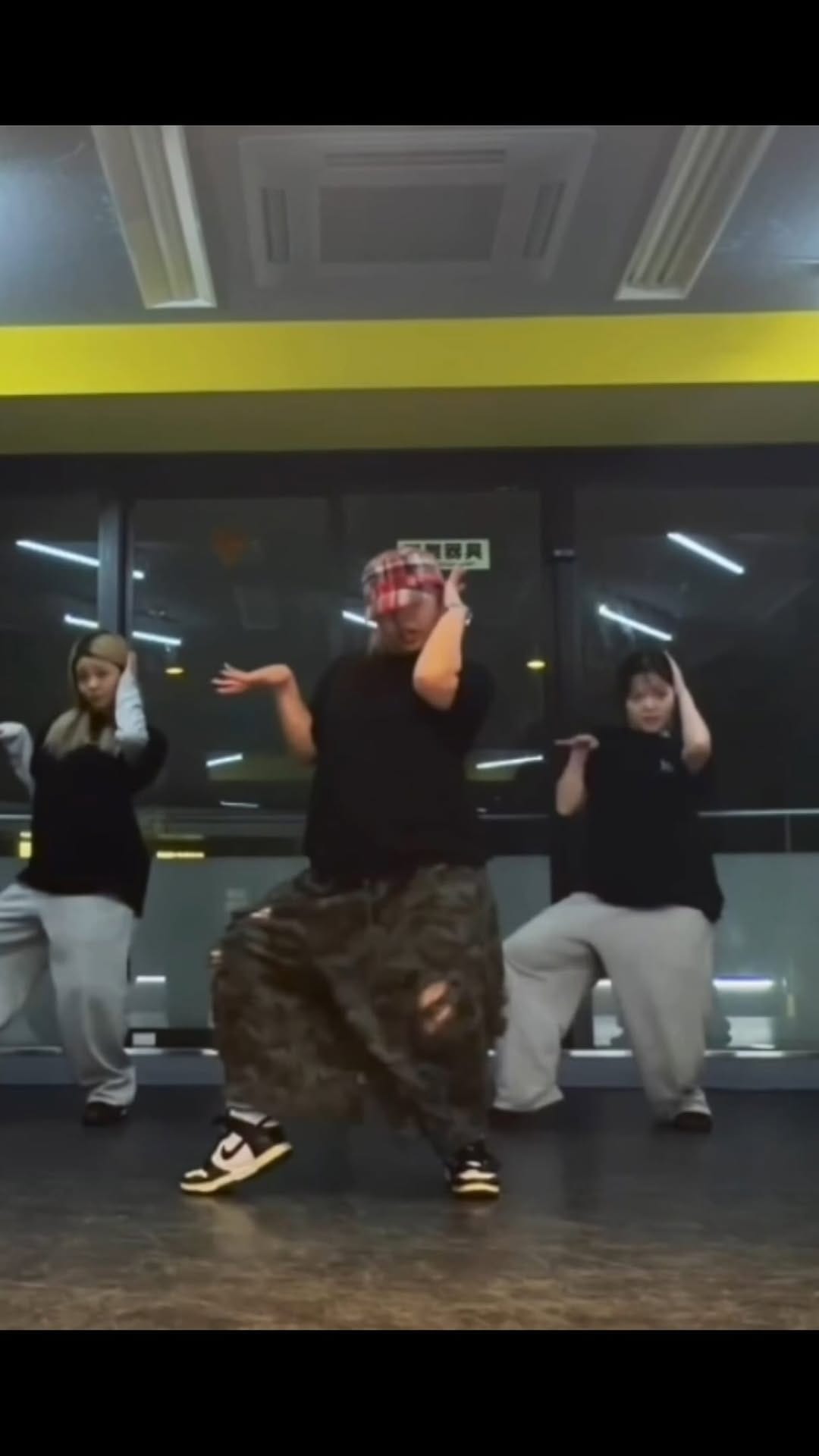 Post 2 by MikuHeNe on Instagram (video)