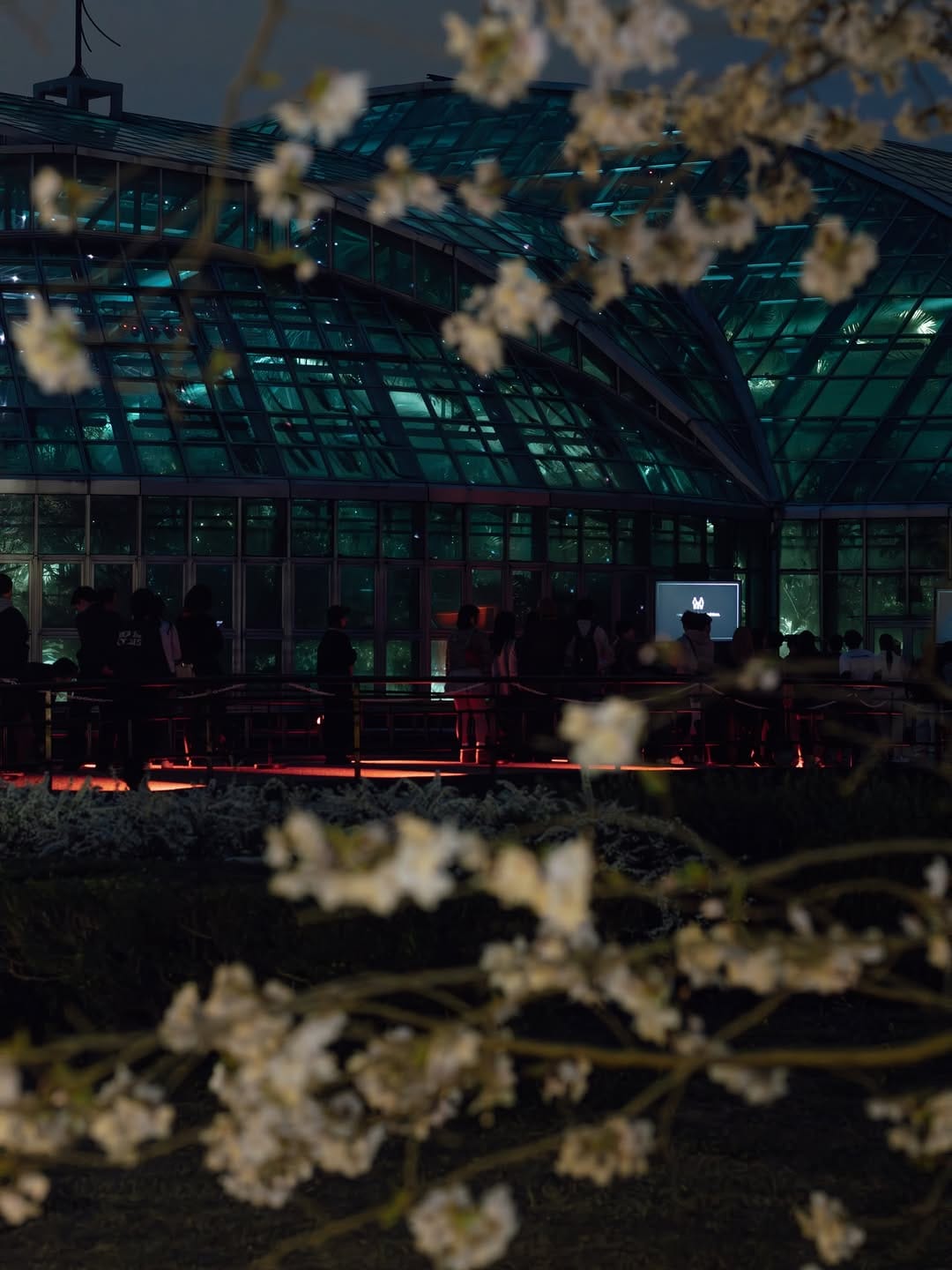 Post 2 by LIGHT CYCLES KYOTO｜ライトサイクル京都 on Instagram (carousel)