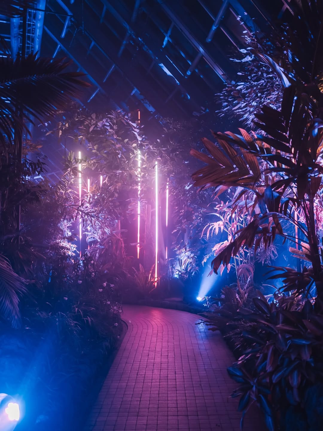 Post 1 by LIGHT CYCLES KYOTO｜ライトサイクル京都 on Instagram (carousel)