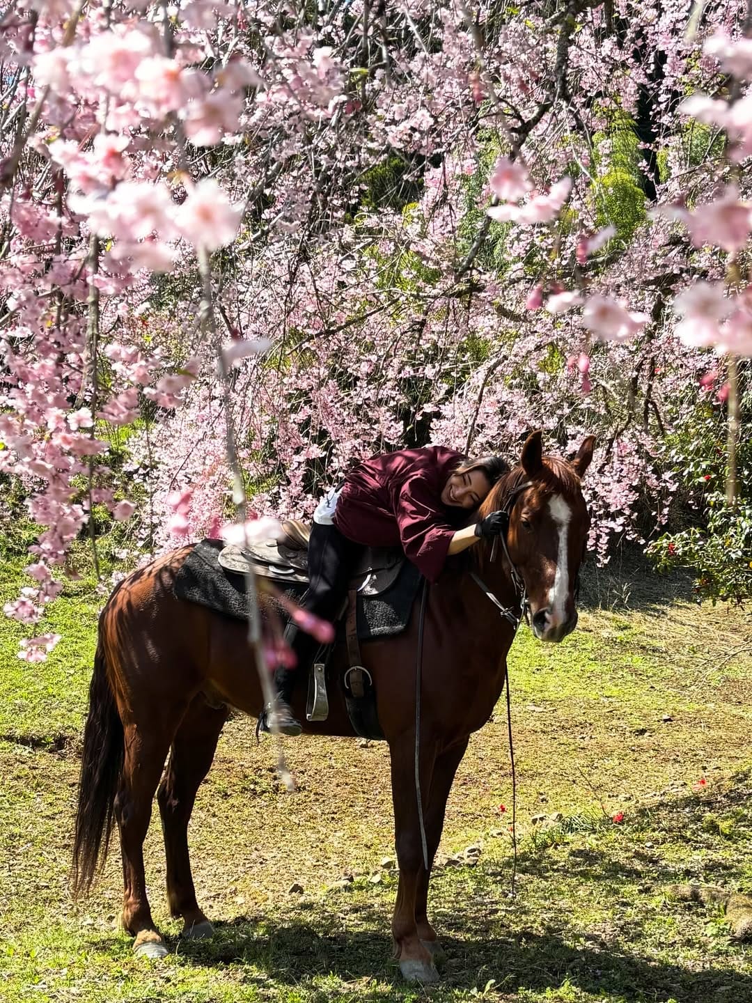 Post 4 by 文音/Ayane Nagabuchi on Instagram (carousel)