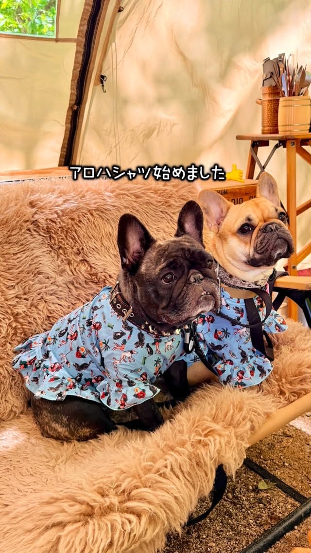 Post 9 by そら⭐︎おと on Instagram (video)