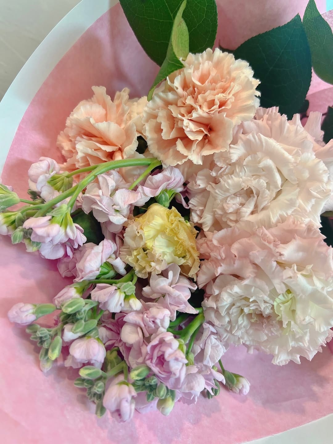 Post 5 by 𝚈𝚞𝚔𝚒𝚔𝚘 𝙸𝚝𝚘 ❅ 伊藤 友季子 on Instagram (image)