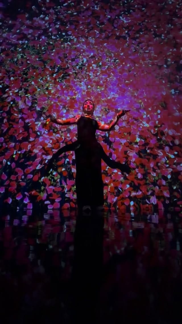 Post 9 by 𝗠𝗮𝘆𝘂 𝗞𝗮𝘁𝗼  مايو كاتو 🧿🪬 on Instagram (video)