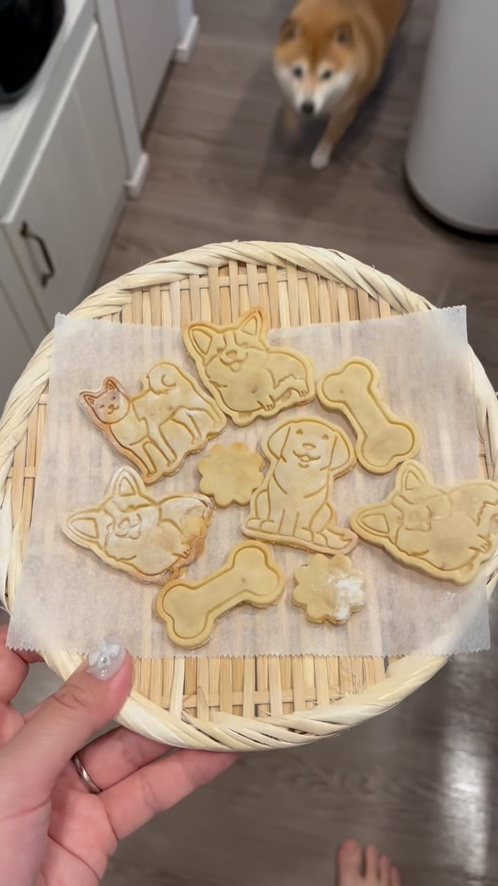 Post 9 by こくとうちゃん on Instagram (video)