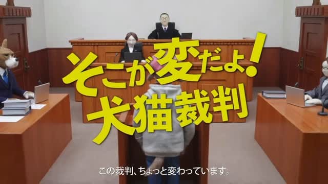 Post 9 by 滝川クリステル on Instagram (video)
