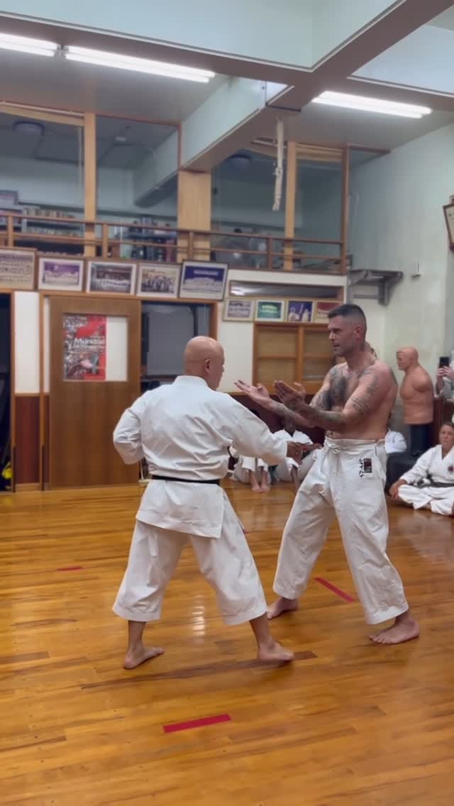Post 10 by Shai Hai on Instagram (video)