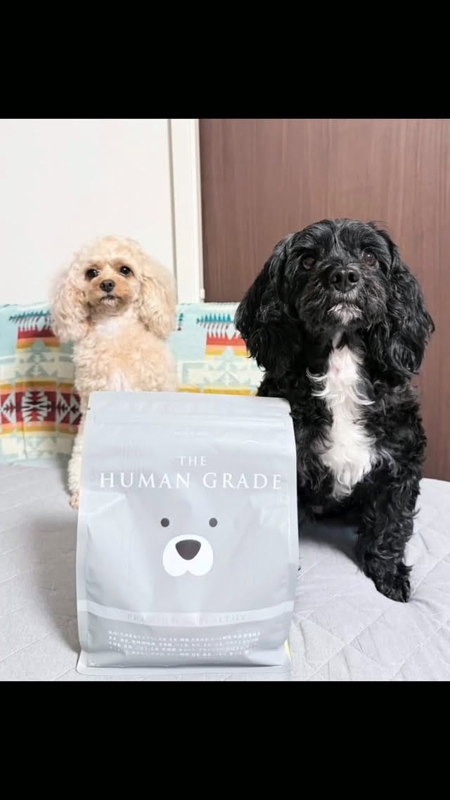 Post 6 by ℕ𝕠𝕚𝕣🖤&𝕃𝕦𝕟𝕒🌙　キャバプー兄妹 on Instagram (video)