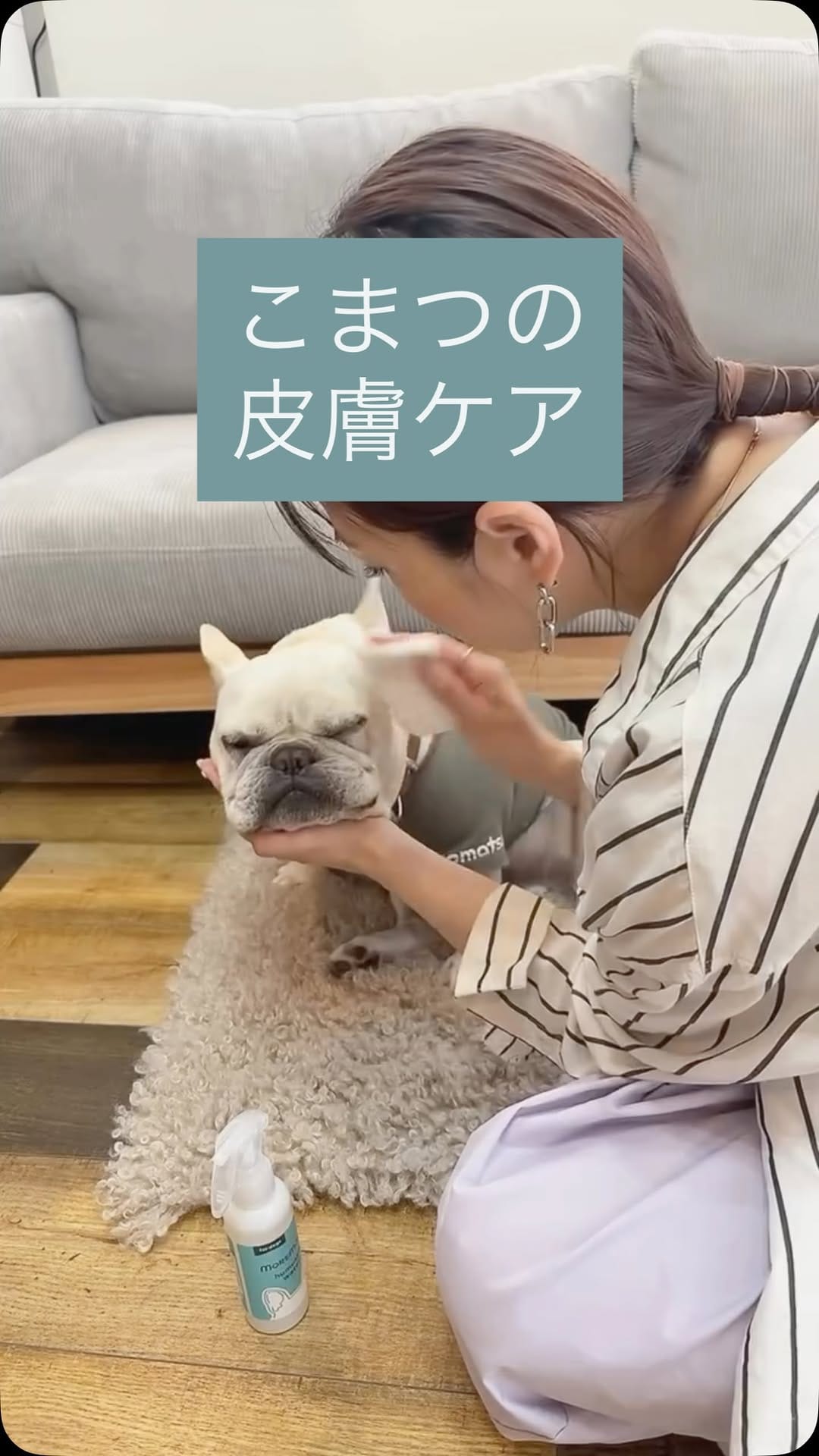 Post 9 by フレブルkomatsukun on Instagram (video)