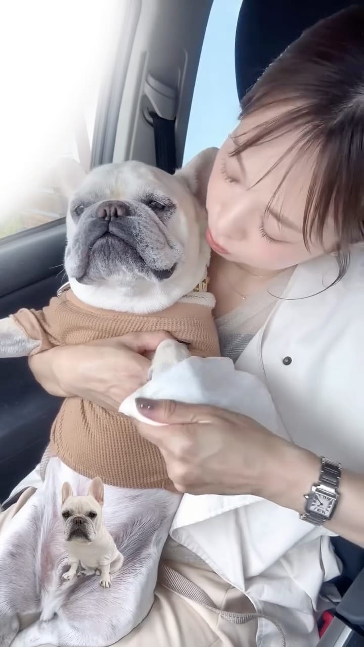 Post 7 by フレブルkomatsukun on Instagram (video)