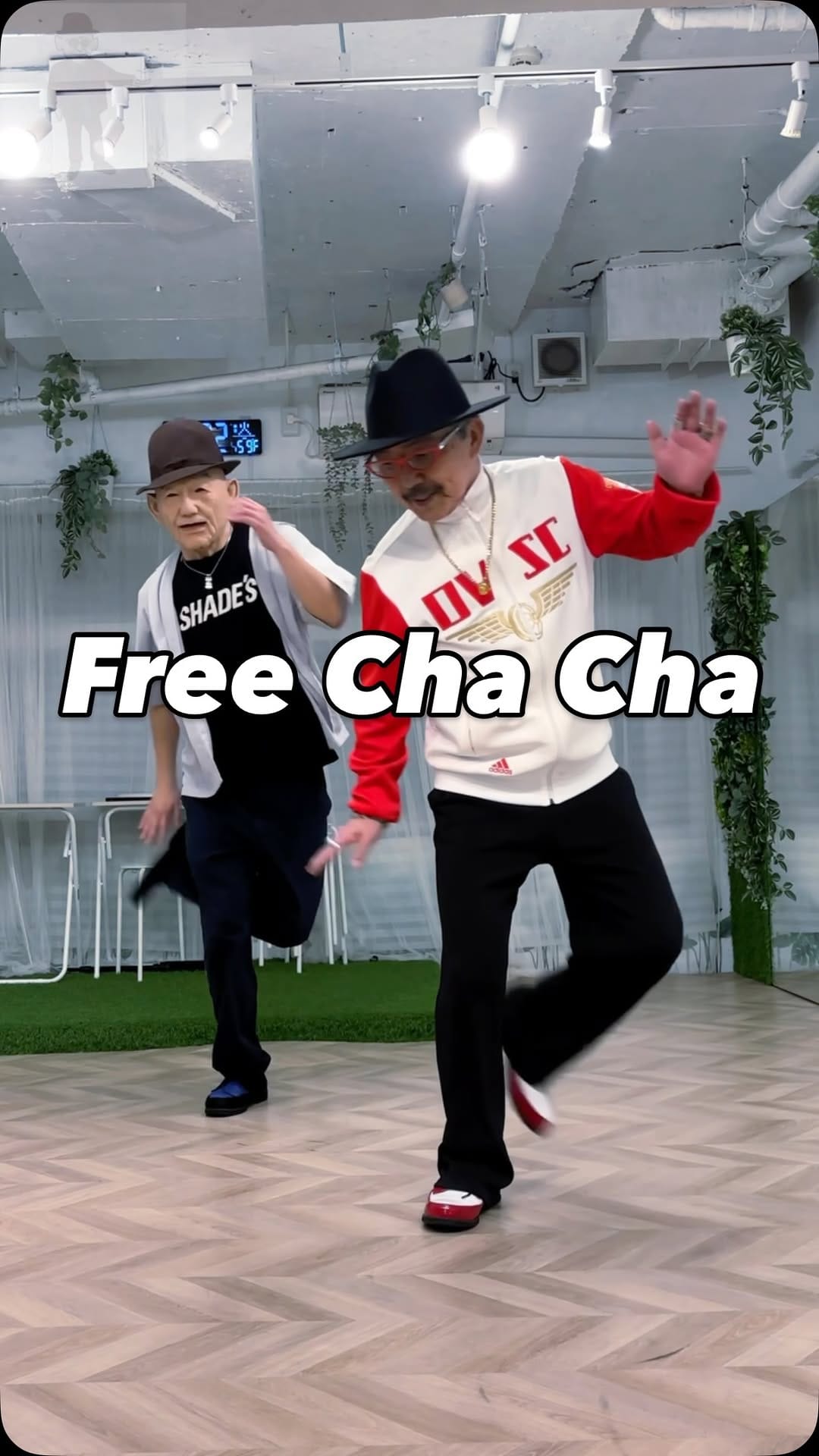 Post 5 by 円了🇯🇵 minority   free cha cha suki on Instagram (video)
