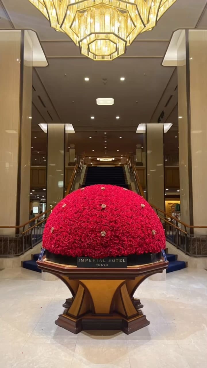 Post 8 by 松林 慶 on Instagram (video)