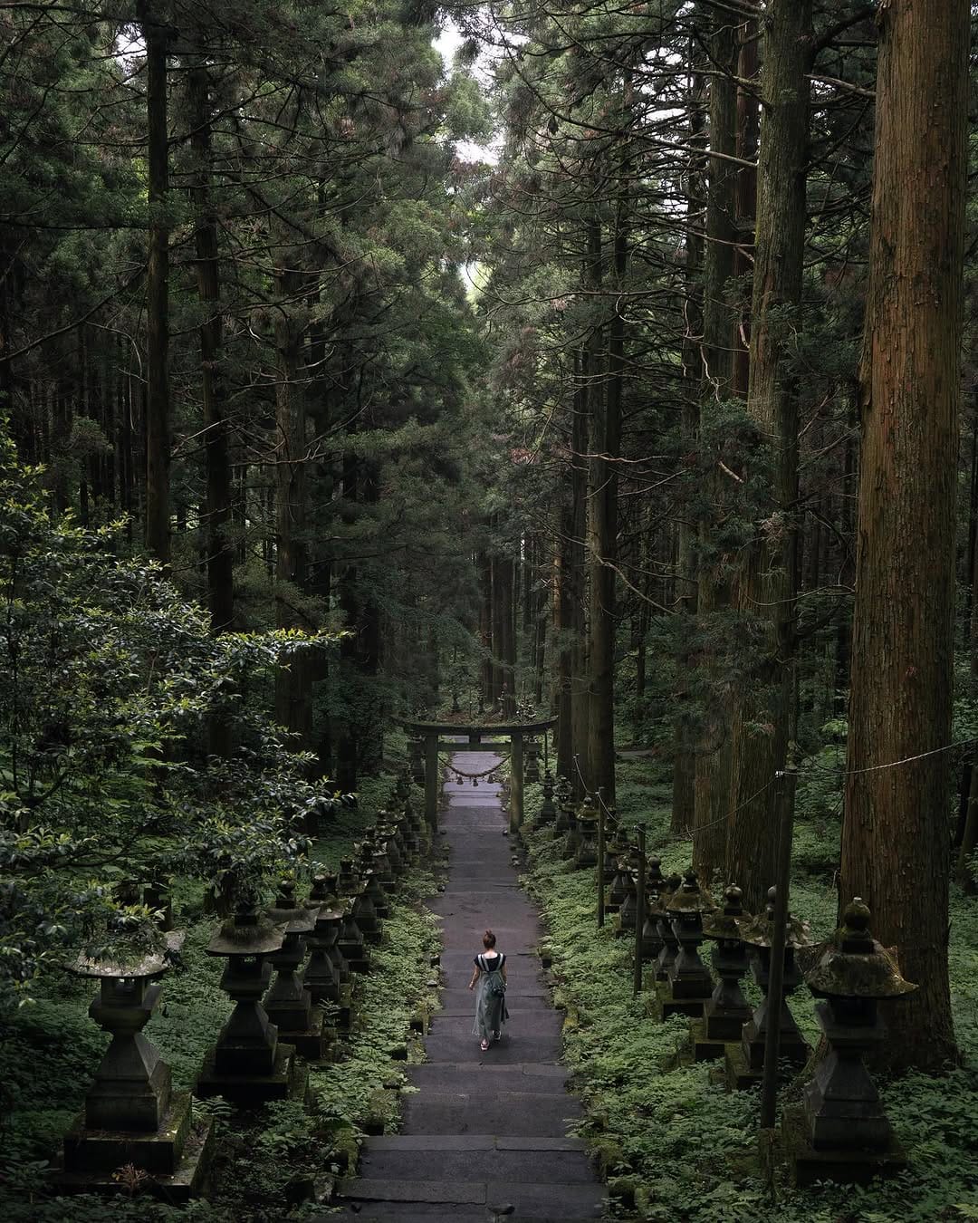 Post 8 by Tomohiro Miura🇯🇵 on Instagram (image)