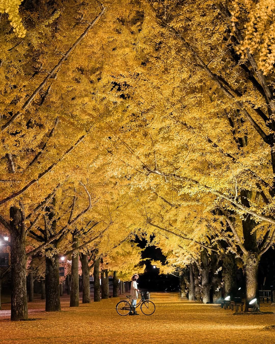 Post 2 by Tomohiro Miura🇯🇵 on Instagram (image)