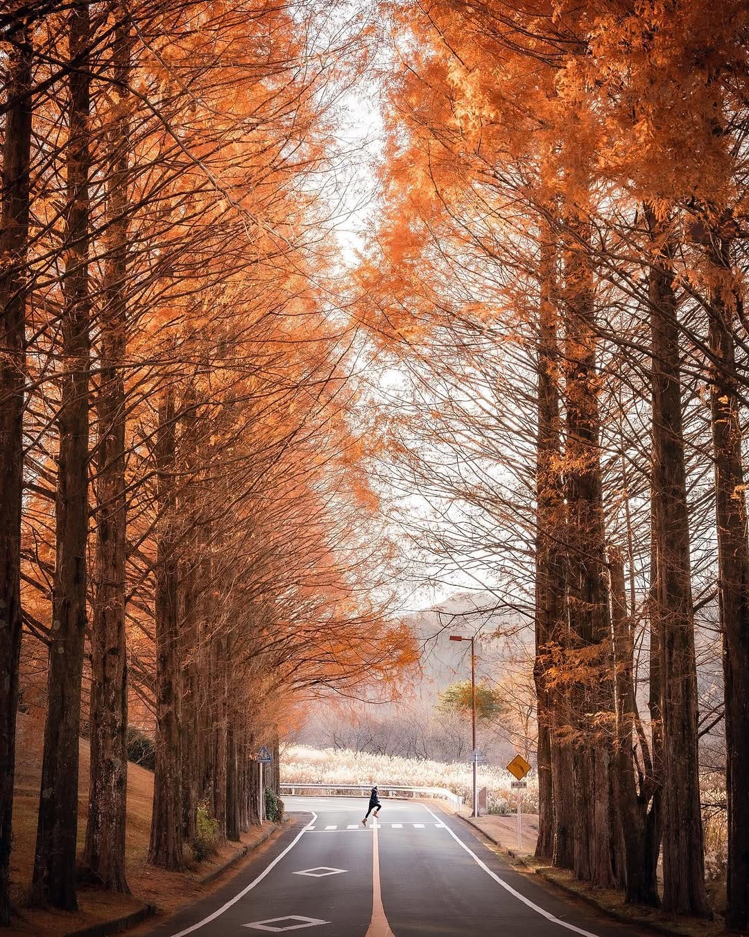 Post 7 by Tomohiro Miura🇯🇵 on Instagram (image)
