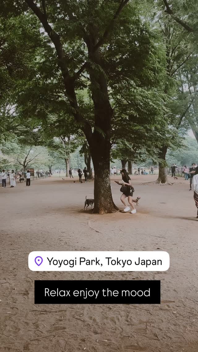 Post 8 by Jason Japan — Tokyo : Kyoto : Osaka on Instagram (video)