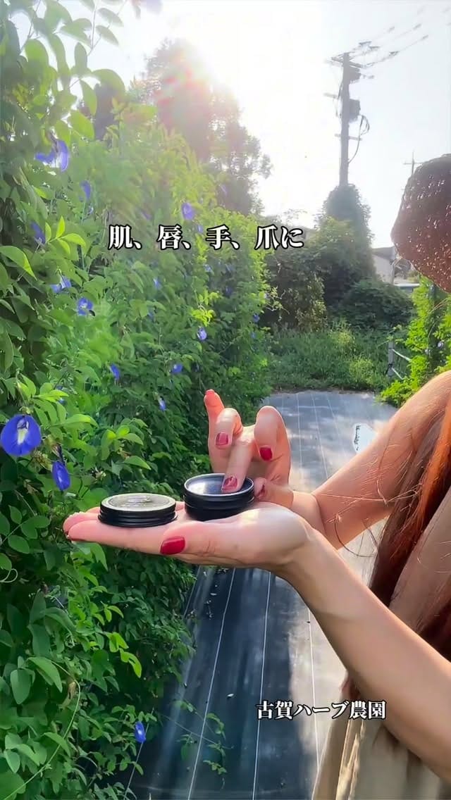 Post 8 by 柴田敬子 on Instagram (video)