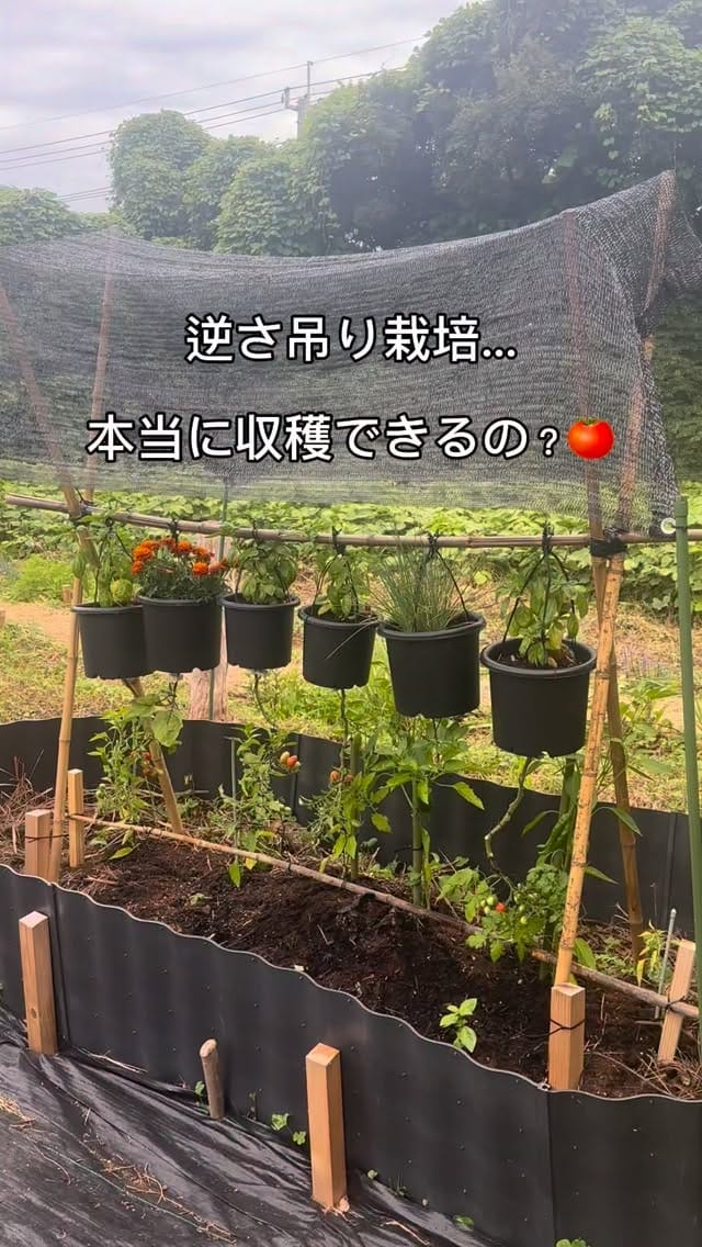 Post 5 by 柴田敬子 on Instagram (video)