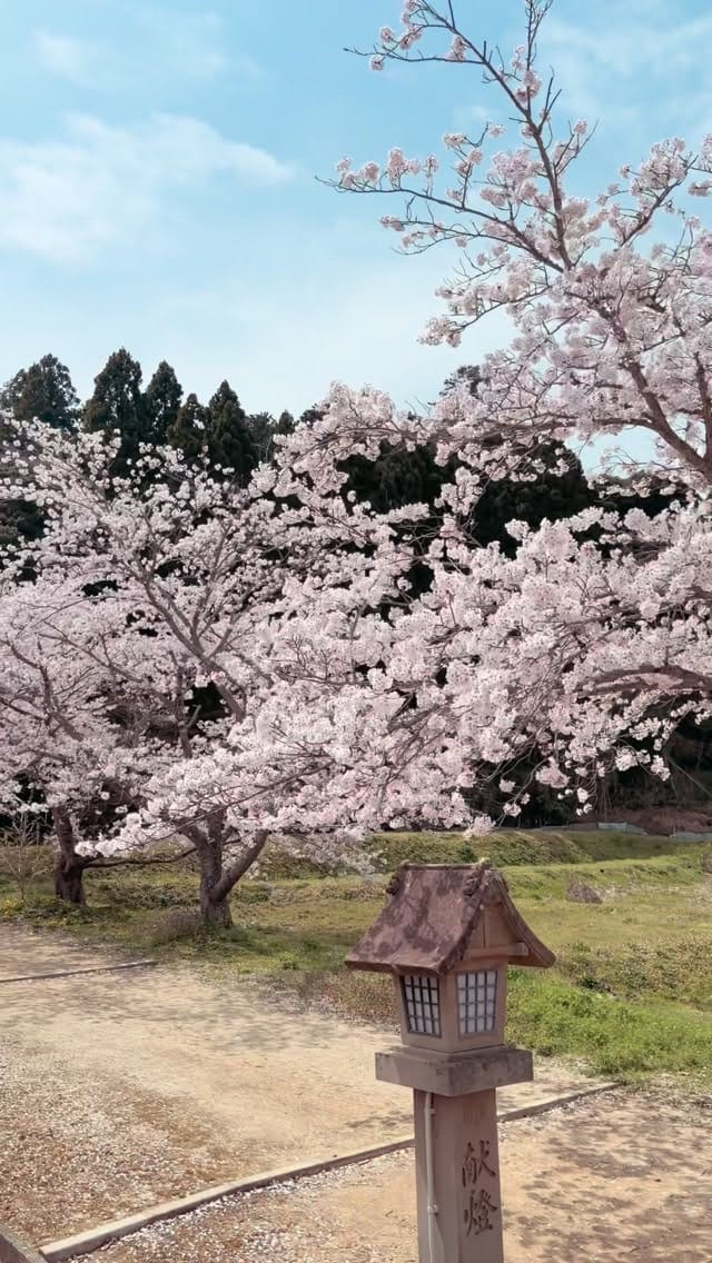 Post 5 by 小山和也/AUTO CORPORATION on Instagram (video)