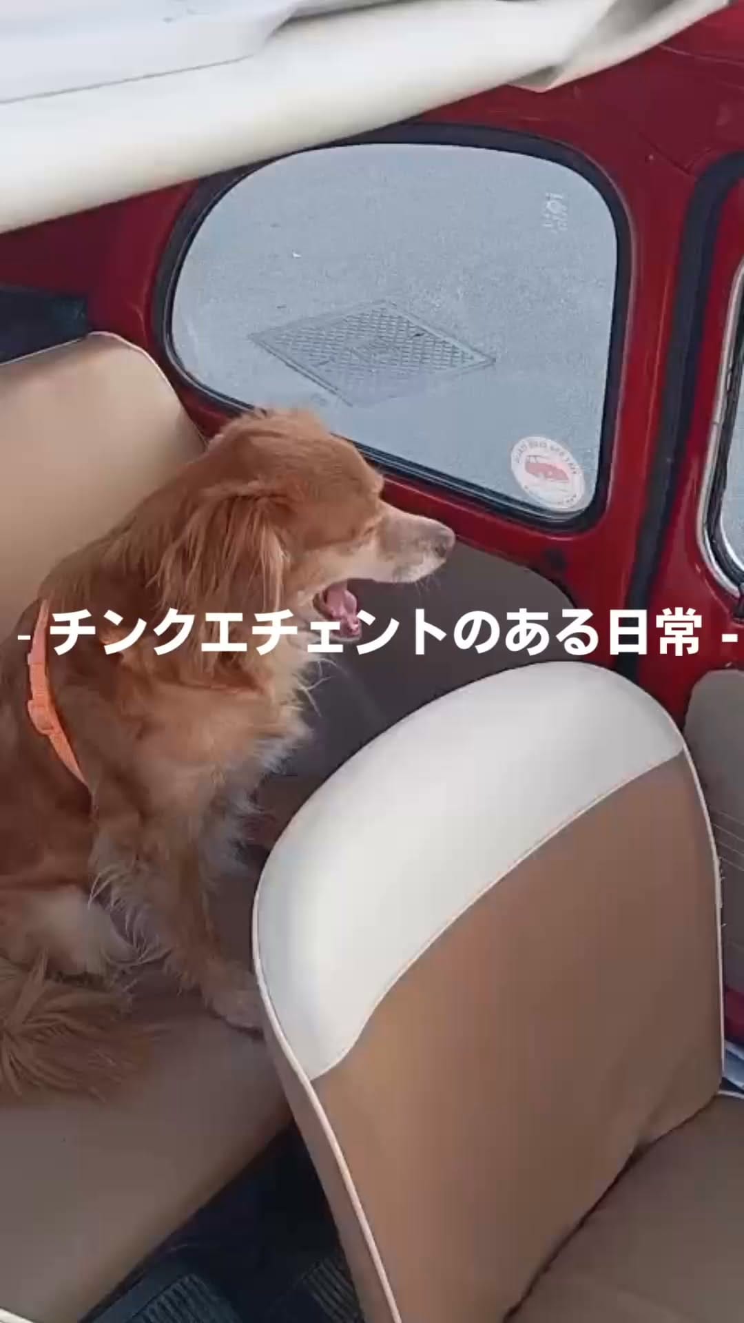 Post 7 by チンクエチェント博物館 on Instagram (video)