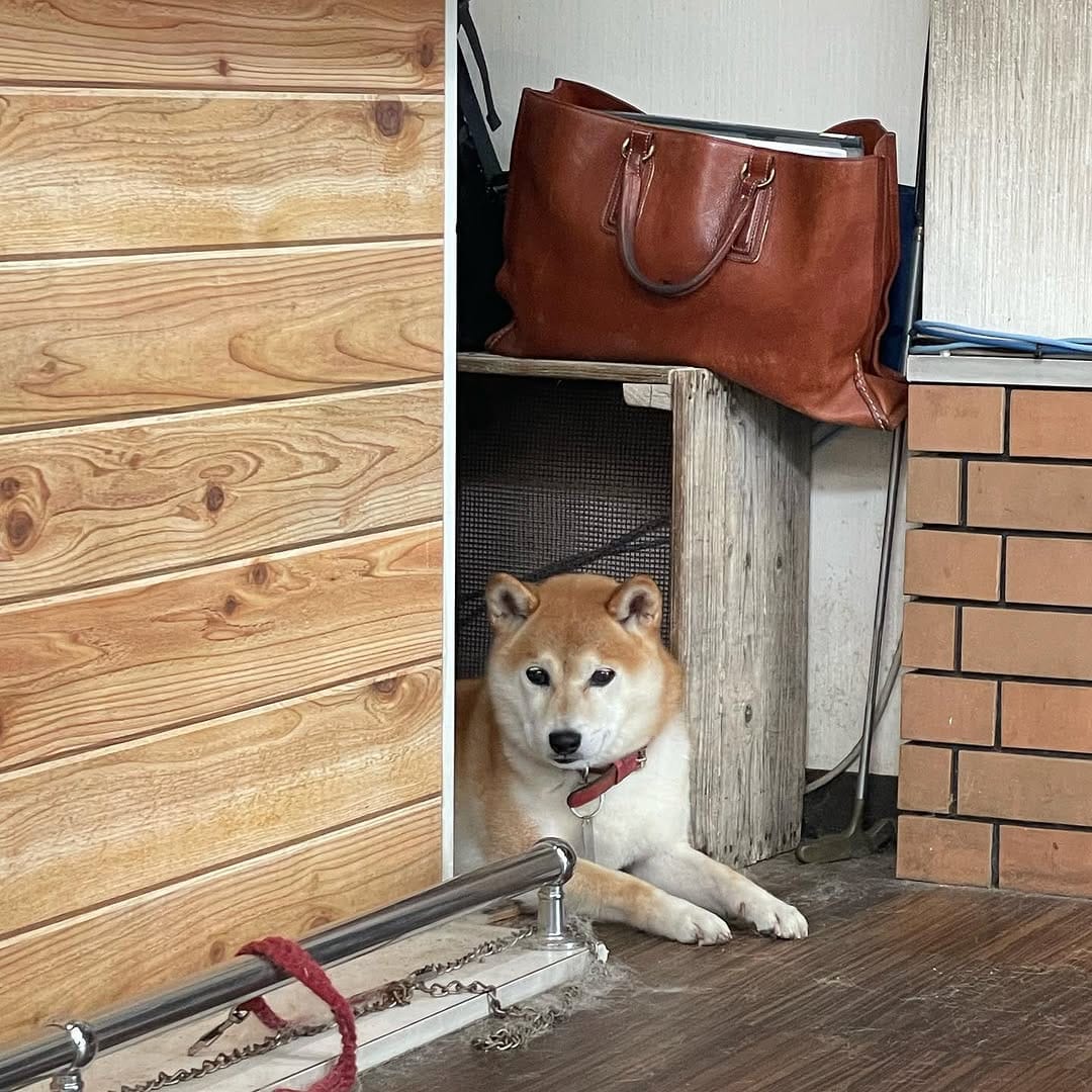 Post 4 by 車　高価買取のスペシャリスト　カサデ on Instagram (carousel)