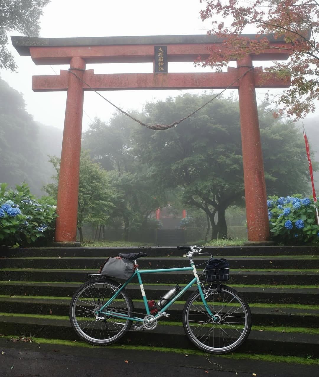 Post 7 by BLUE LUG Kagoshima on Instagram (carousel)