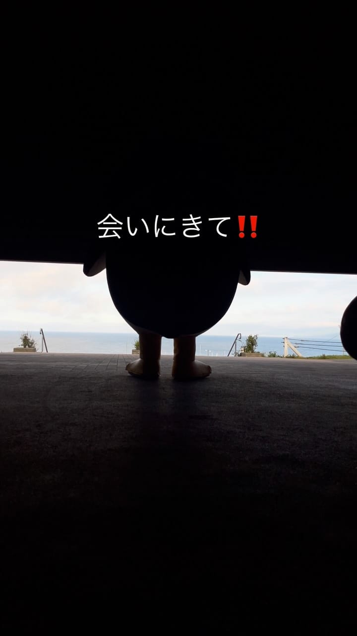 Post 5 by おたる水族館 on Instagram (video)