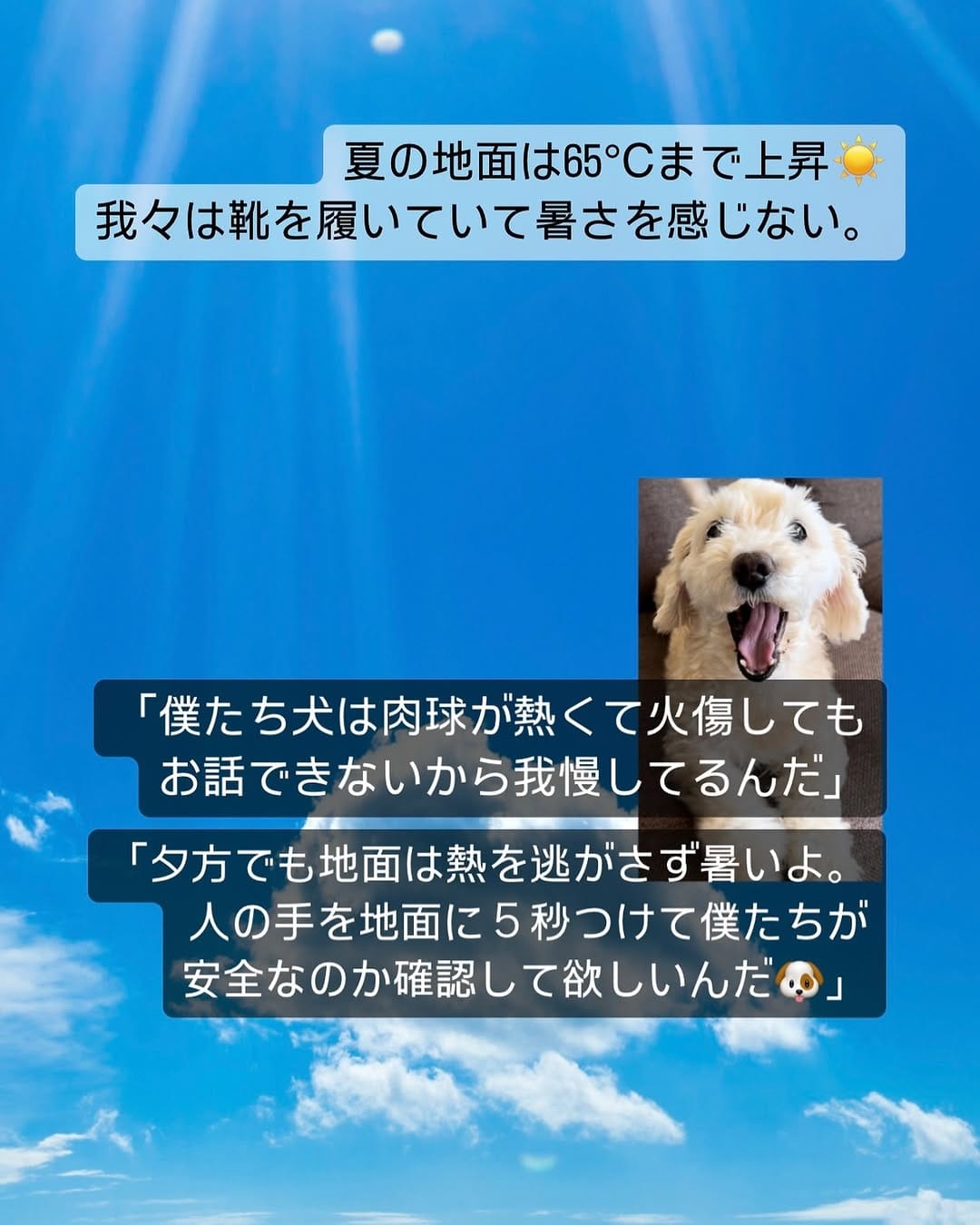 Post 9 by 宇治川大介（こてつパパ） on Instagram (image)