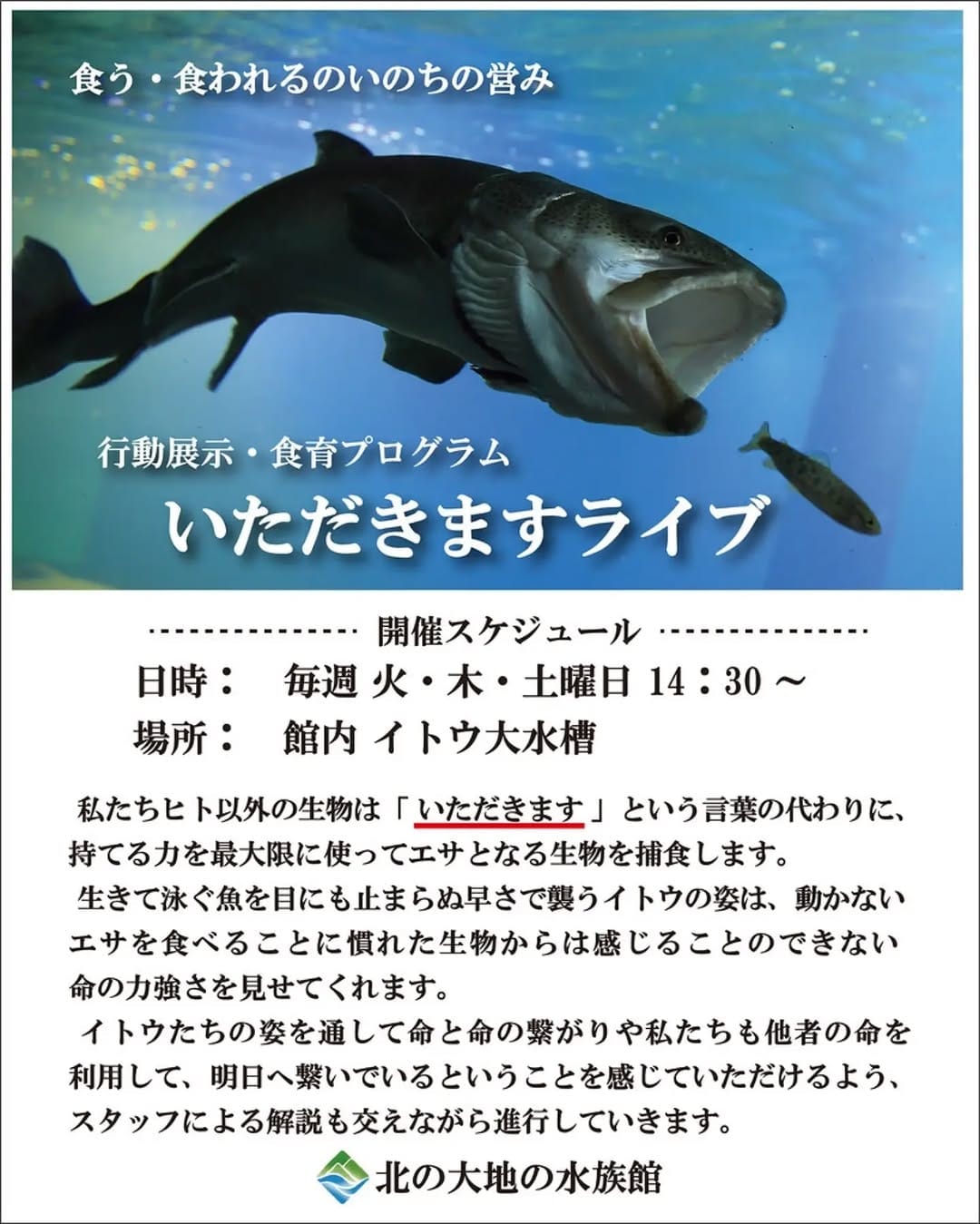 Post 9 by 北の大地の水族館（山の水族館） on Instagram (image)