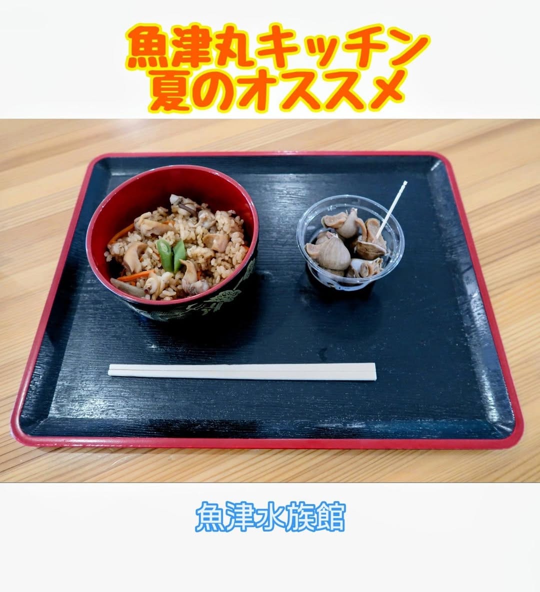 Post 1 by 魚津水族館 公式 on Instagram (image)
