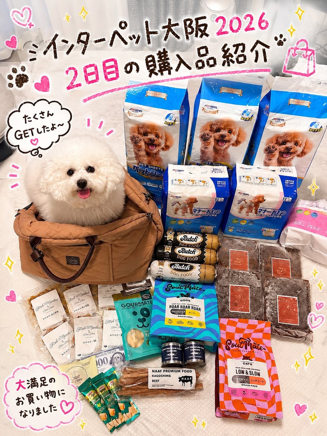 Post 1 by ビションフリーゼのフルリ🎀 on Instagram (image)