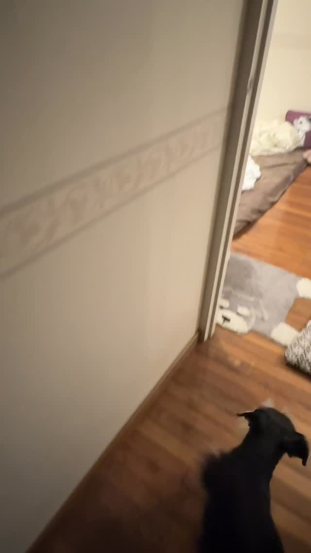 Post 4 by たなか　うれし on Instagram (video)
