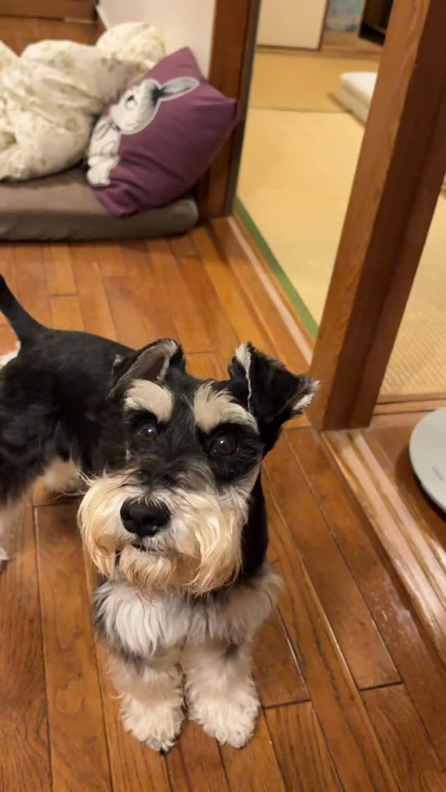 Post 7 by たなか　うれし on Instagram (video)