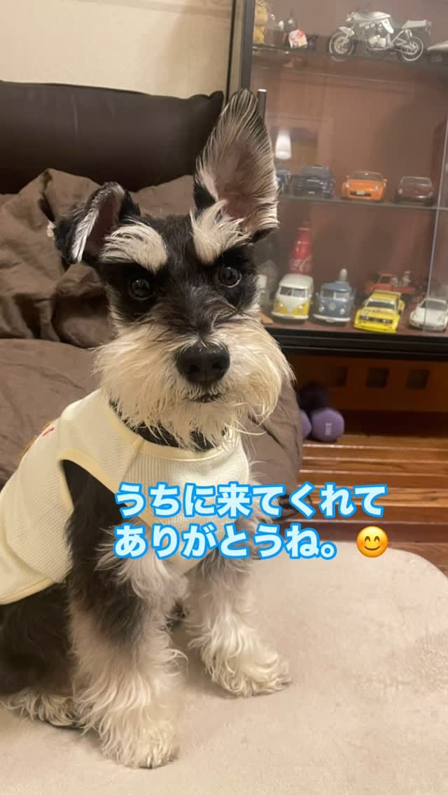 Post 10 by たなか　うれし on Instagram (video)