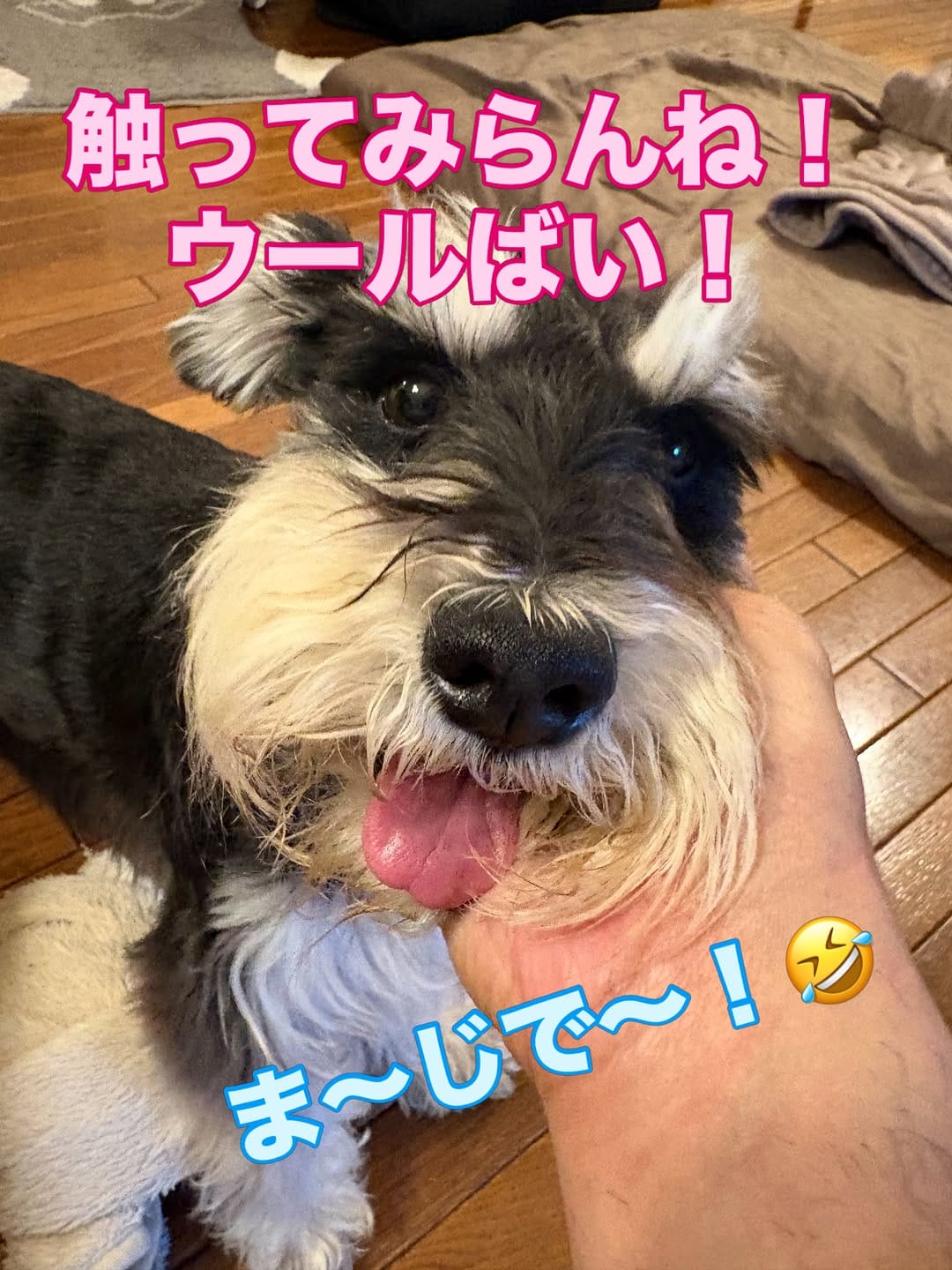 Post 1 by たなか　うれし on Instagram (image)