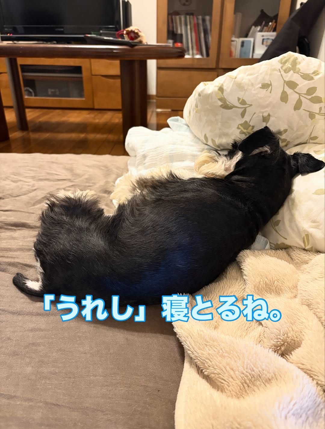 Post 3 by たなか　うれし on Instagram (carousel)