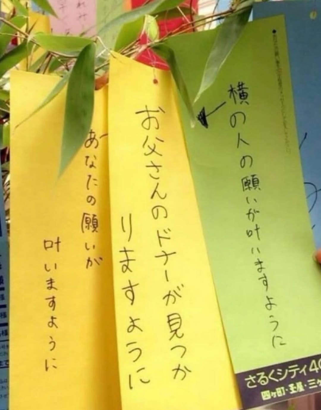 Post 8 by Hikari Nagaya on Instagram (image)